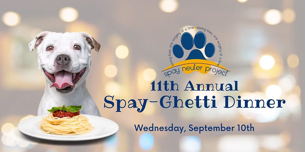 spayghetti